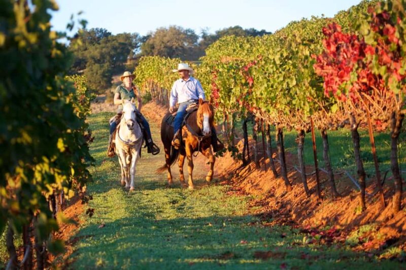 Tuscany: Horseback Riding Adventure with Lunch in a Winery - Wine Tasting Experience in the Heart of Tuscany
