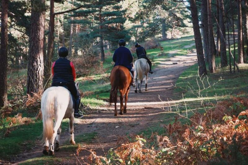 Tuscany: Horseback Riding Adventure with Lunch in a Winery - Who Will Enjoy This Tour Most?