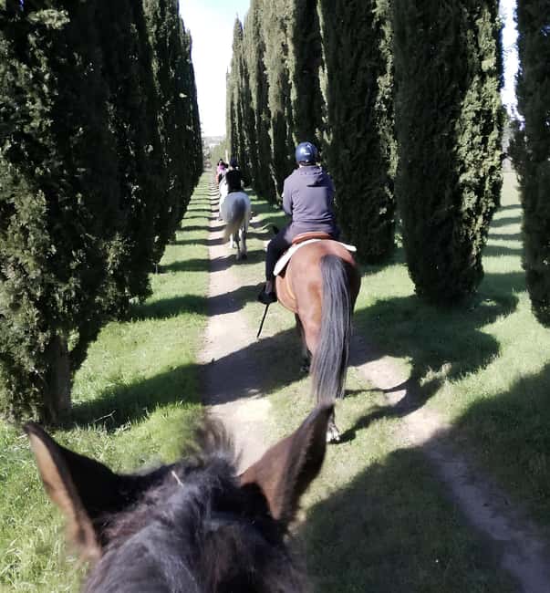 Tuscany: Horseback Riding Experience in Buonconvento - What is Included and What to Expect