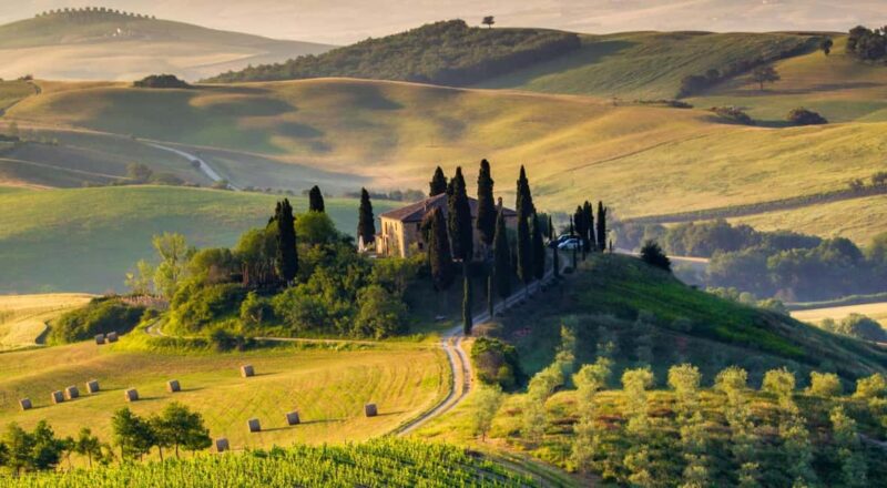 Tuscany: Olive Harvest, San Gimignano & Wine Tour - Key Points