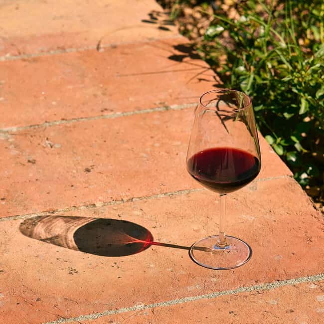 Tuscany: Picnic with Wine and Delicacies in Radda in Chianti - Tips for Making the Most of Your Picnic