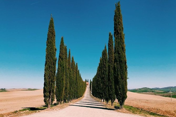 Tuscany Tour: Montepulciano, Pienza & Montalcino - The Wine Tasting Experience in Montalcino