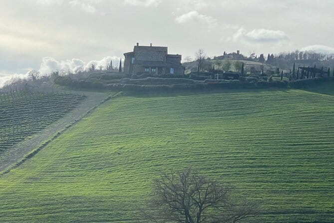 Tuscany Tour Siena - San Gimignano - Winery - The Wine Tasting Experience in the Chianti Hills