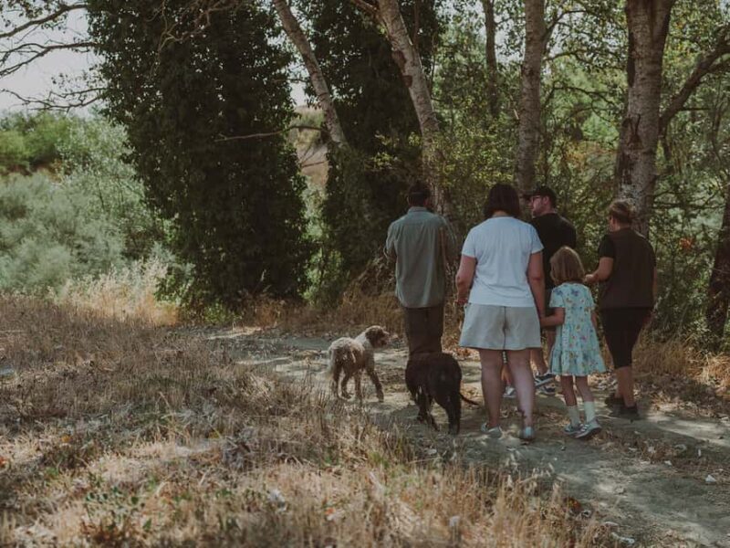 Tuscany: Volterra Truffle Hunting Experience - Exploring the Truffle Hunting in the Tuscan Hills