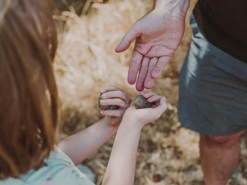 Tuscany: Volterra Truffle Hunting Experience - Weather Impact and Preparation Advice