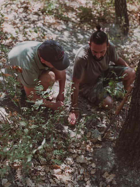 Tuscany: Volterra Truffle Hunting Experience - Who Will Enjoy This Truffle Hunting Tour?