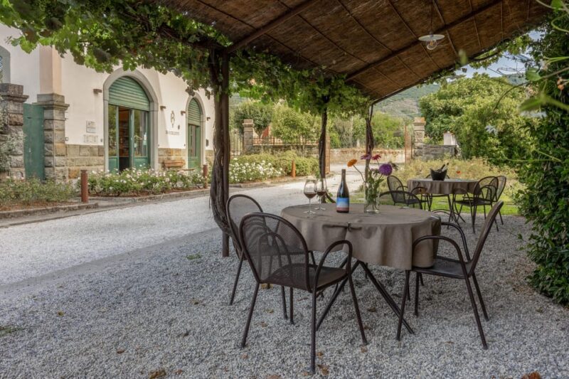 Tuscany: White Wine Tasting with Aperitivo at a Local Winery - Sampling Valdichiana’s Exclusive Wines