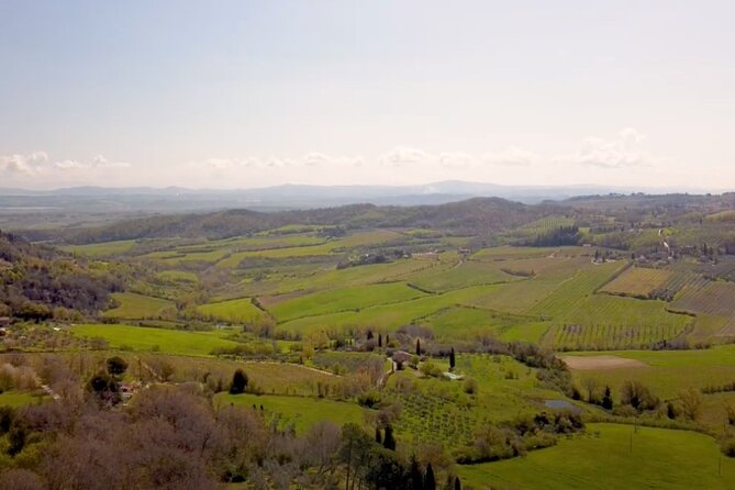 Tuscany Wine & Hills from Florence - Montalcino and Brunello Wine Tasting