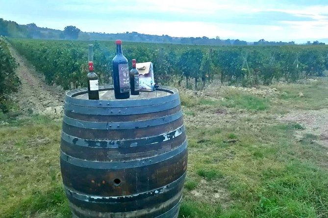 Tuscany Wine & Hills from Siena - Pienza’s Charm and Local Flavors