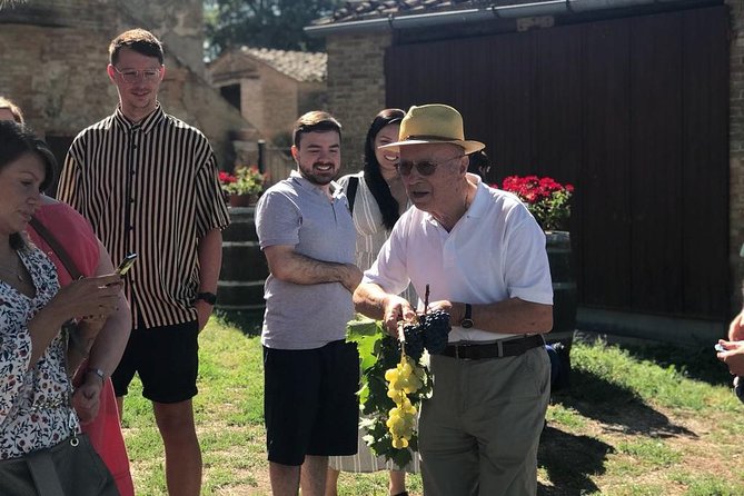 Tuscany Wine & Hills from Siena - Montepulciano: The Wine Capital of Tuscany