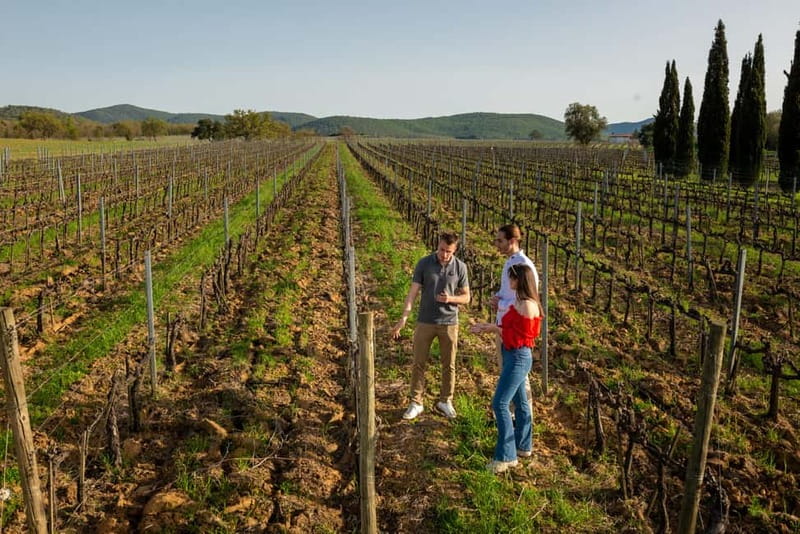 Tuscany: Wine Tasting Experience - Tuscany: Wine Tasting Experience at Poggioargentiera