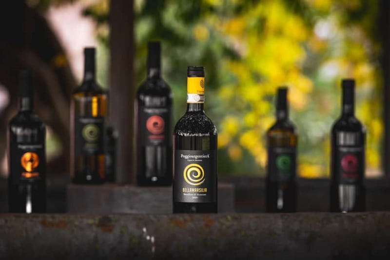 Tuscany: Wine Tasting Experience - Key Points