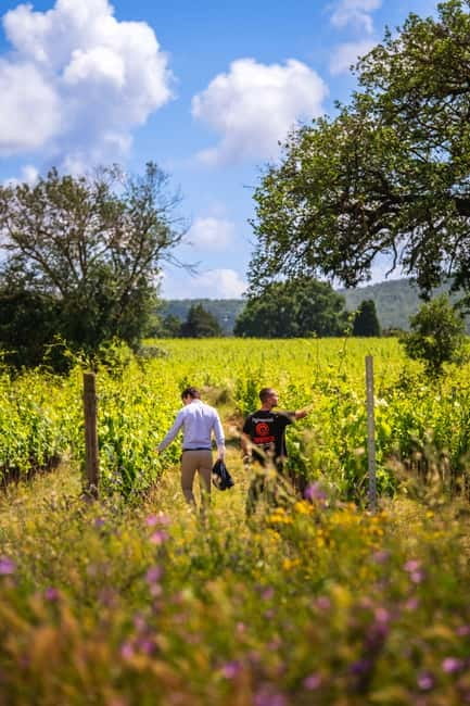 Tuscany: Wine Tasting Experience - The Unique Setting of Poggioargentiera in Maremma