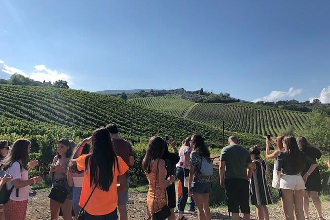 Tuscany Wine Tastings with Panoramic View - Florence to Chianti - Scenic Drive Between Wineries and Views of the Tuscan Countryside