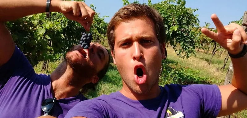 Tuscany Wine Tour : 2 Wineries & San Gimignano from Florence - Practical Details and Tips