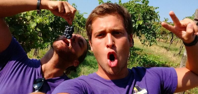 Tuscany Wine Tour : 2 Wineries & San Gimignano from Florence - Who Will Love This Tour