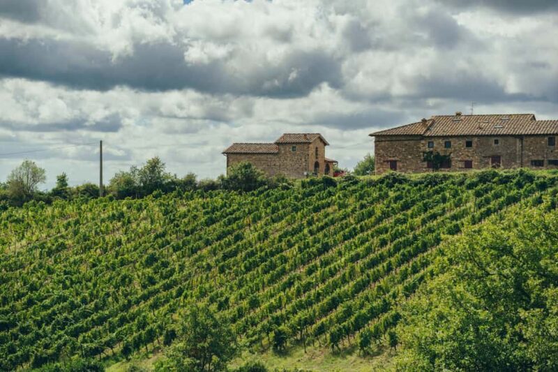 Tuscany wine tour with a local wine expert ( small group) - Visiting Three Unique Family-Owned Wineries