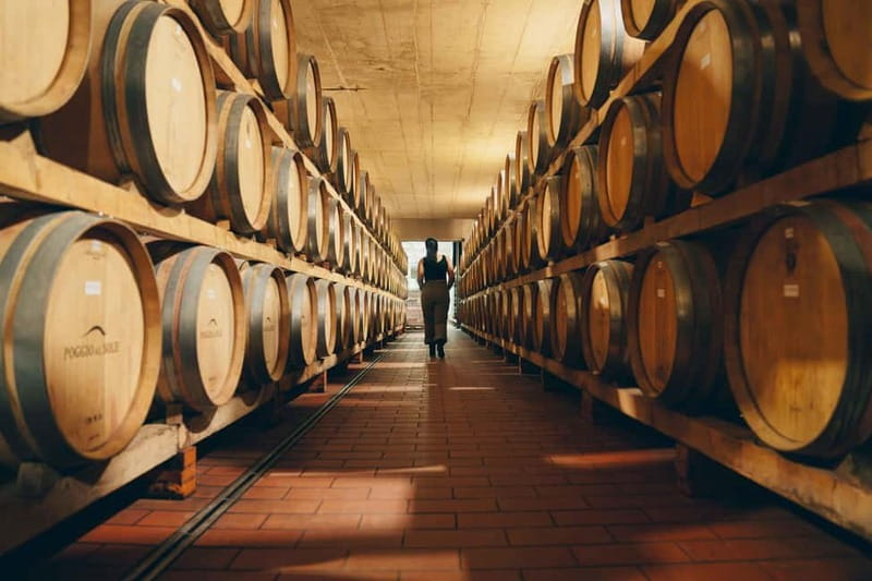 Tuscany wine tour with a local wine expert ( small group) - Tasting Chianti Classico and Food Pairing