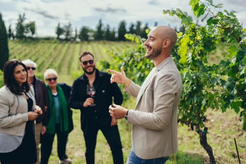 Tuscany wine tour with a local wine expert ( small group) - The Passionate Guide: Matteo