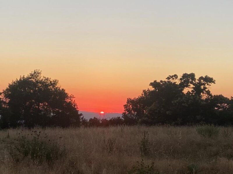 Tuscolo experience in ebike - The Picnic Spot and Local Tastes