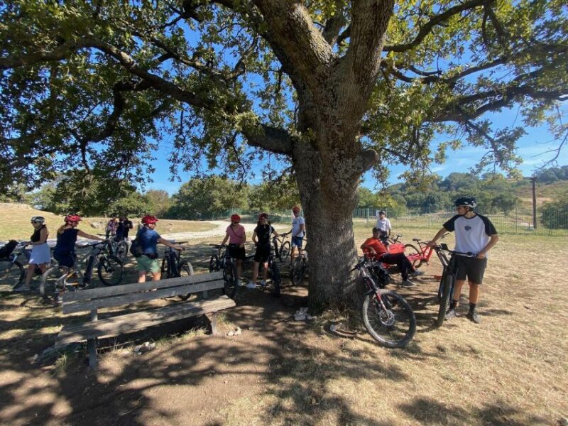 Tuscolo experience in ebike - Why This Tour Stands Out in the Castelli Romani