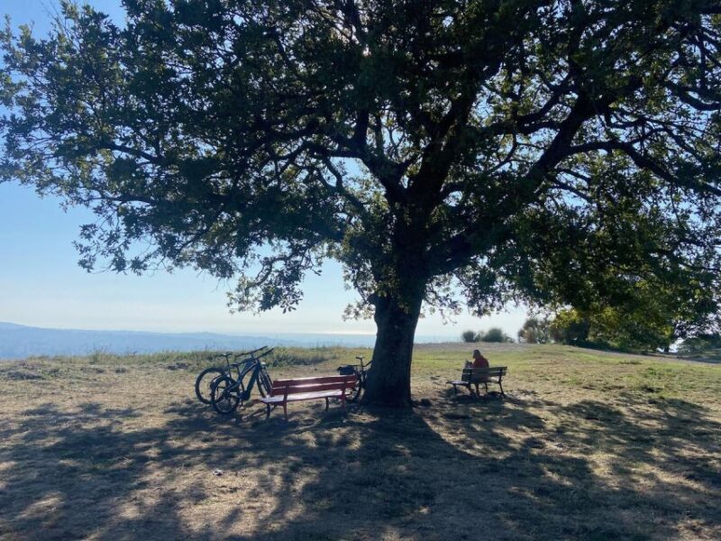 Tuscolo experience in ebike - Who Will Appreciate This Tour Most