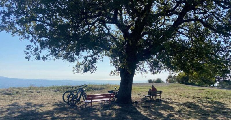 Tuscolo experience in ebike - The Sum Up: A Scenic and Cultural Ride through Lazio