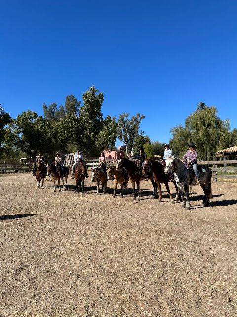 Tuscon: Rancho Cerros Horseback Riding Tout with Great Views - Discovering Catalina State Park on Horseback