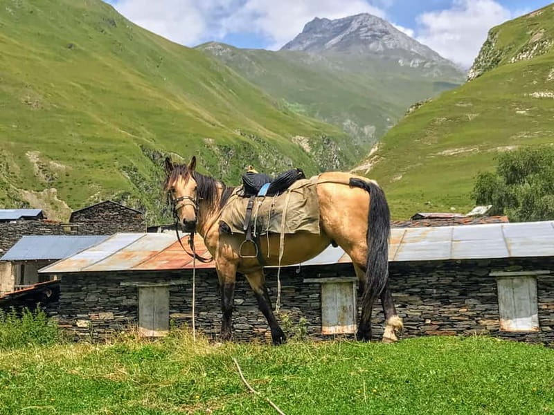 Tusheti Thrill: Limited-Time Mountain Escape 3 day tour - Exploring Tusheti National Park and Mountain Villages