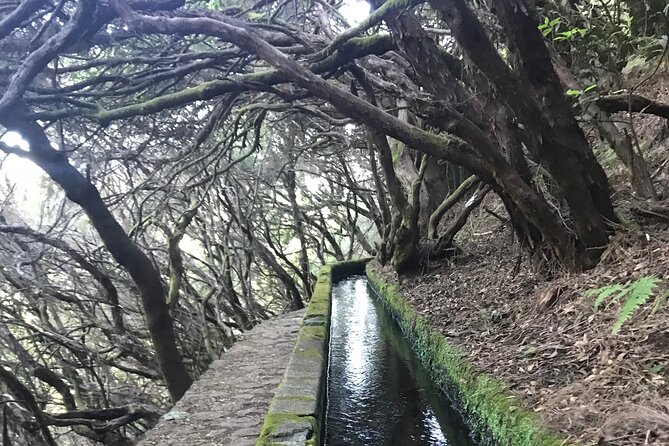 Twenty-Five Fountains Levada walks (private) - Key Points