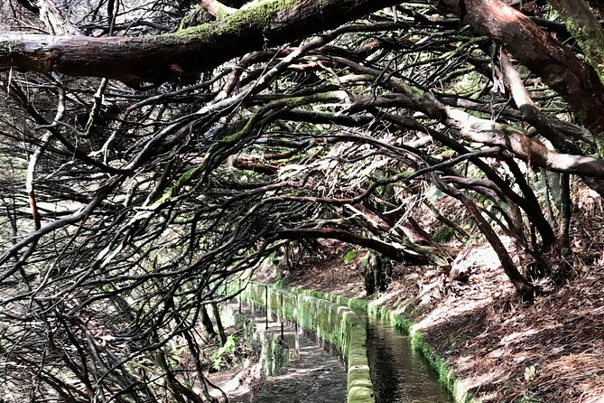 Twenty-Five Fountains Levada walks (private) - Expert Guides with Local Knowledge and Passion