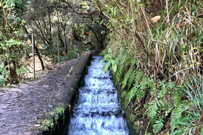 Twenty-Five Fountains Levada walks (private) - Flexibility and Additional Route Options
