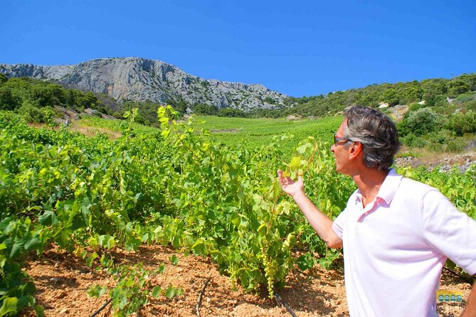 Twice the Wine - Two wineries half day tour, with delicacies - Lacman Family Winery: Hilltop Views and Local Flavors