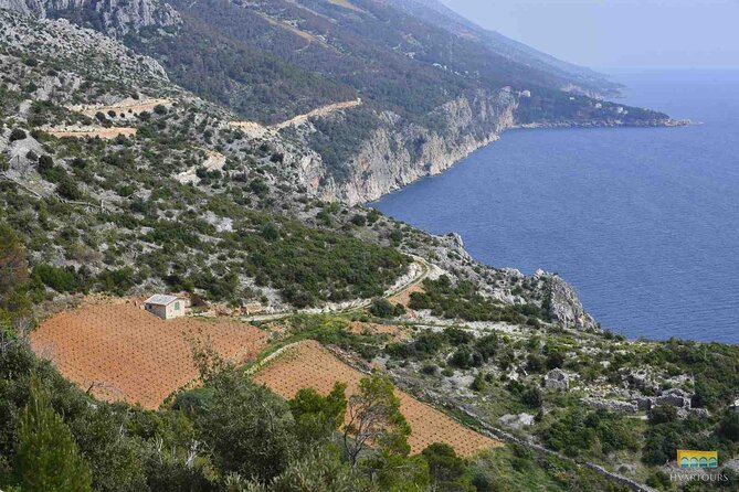 Twice the Wine - Two wineries half day tour, with delicacies - Scenic Drives and Expert Guides