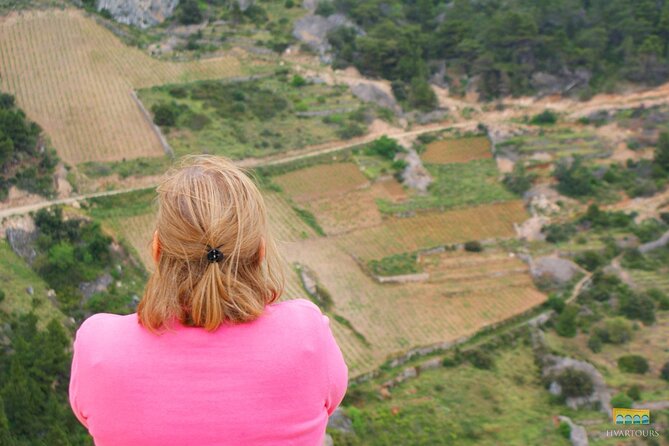 Twice the Wine - Two wineries half day tour, with delicacies - Final Thoughts on the Twice the Wine Tour in Hvar