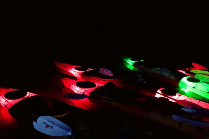 Twilight Black Canyon Kayak Tour with Bonfire Experience - Kept in the Shade: The Location and Logistics of Black Canyon Kayaking