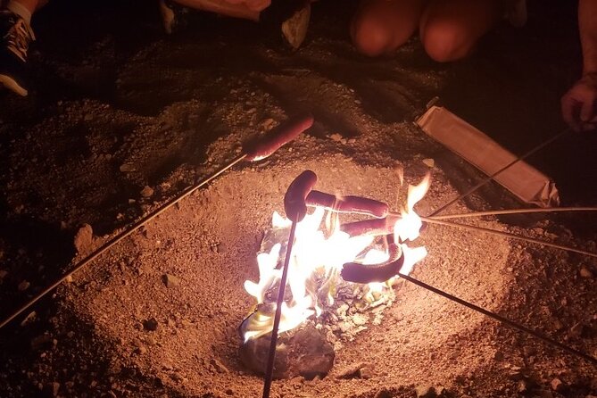 Twilight Black Canyon Kayak Tour with Bonfire Experience - Wildlife and Nature Encounters During the Twilight Tour