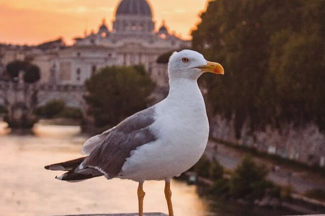 Twilight Magic: Private Golf Cart Tour of Rome with Aperitivo - Sunset Aperitivo with Views and Local Flavors