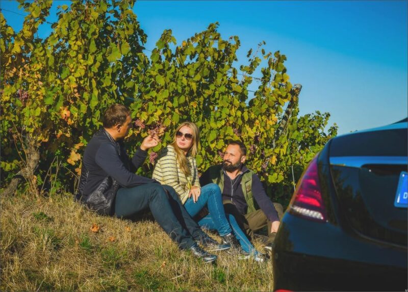 Two countries in one day. Germany, Black Forest and France - Strasbourg’s Architectural Marvels and Historic Streets