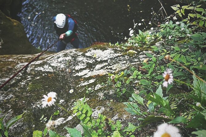 Two-day canyoneering experience in Cañon del Infiernillo - The Experience Provider: Lobo Apha Expeditions
