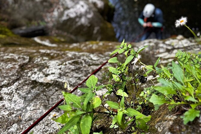 Two-day canyoneering experience in Cañon del Infiernillo - The Sum Up: An Adventure That Nourishes Body and Soul