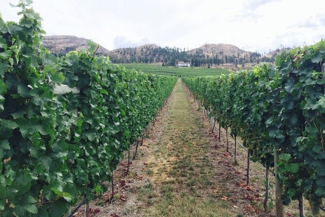 Two Day Private Wine and Bike Tour Vancouver to Kelowna - Unwinding at Sun-Oka Beach Provincial Park