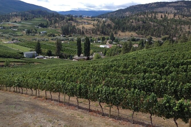 Two Day Private Wine and Bike Tour Vancouver to Kelowna - Final Stop in Penticton and Return to Vancouver