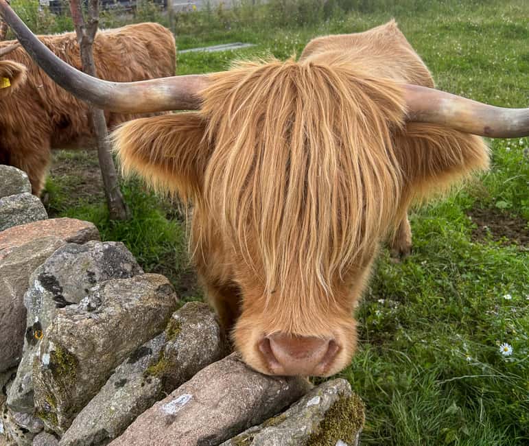 Two Day Taster Tour of Skye, the Highlands and Glencoe - Discovering Skye and the Highlands in Just Two Days