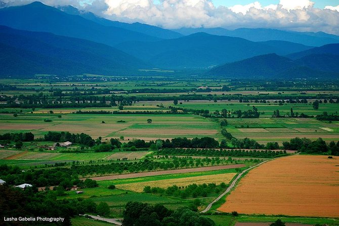 Two Days in Gorgeous Wine Region with Full board Meals and Tastings From Tbilisi - Discover Georgia’s Wine Heritage on a 2-Day Private Tour from Tbilisi