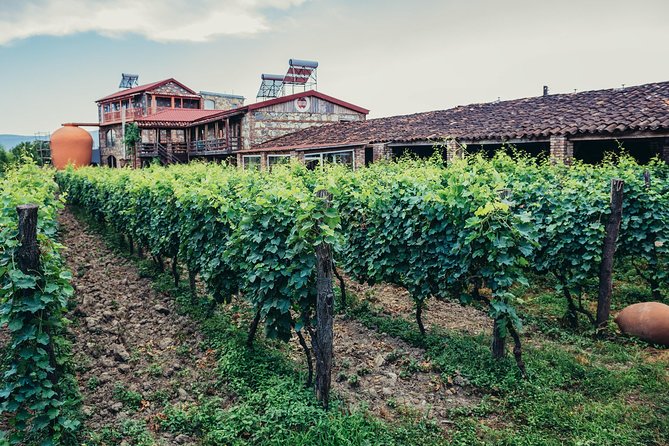 Two Days in Gorgeous Wine Region with Full board Meals and Tastings From Tbilisi - Tasting at Chelti Winery and Vineyard Views