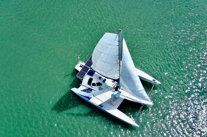 Two Hour Coastal Sailing Cruise - The Sum Up: A Quiet Water Escape in Savannah