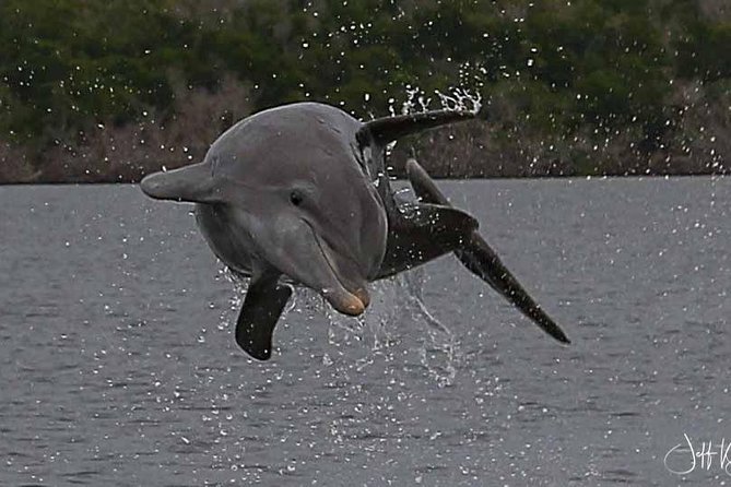 Two-Hour Everglades Dolphin, Manatee and Birding Boat Tour - Weather and Cancellation Policies