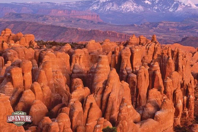 Two-Hour Hummer Safari - What’s Included and What to Bring