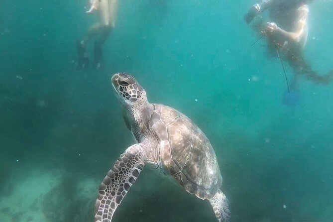 Two Hour Kayak and Snorkel Tour for Two in La Jolla - Optional Equipment and Extras